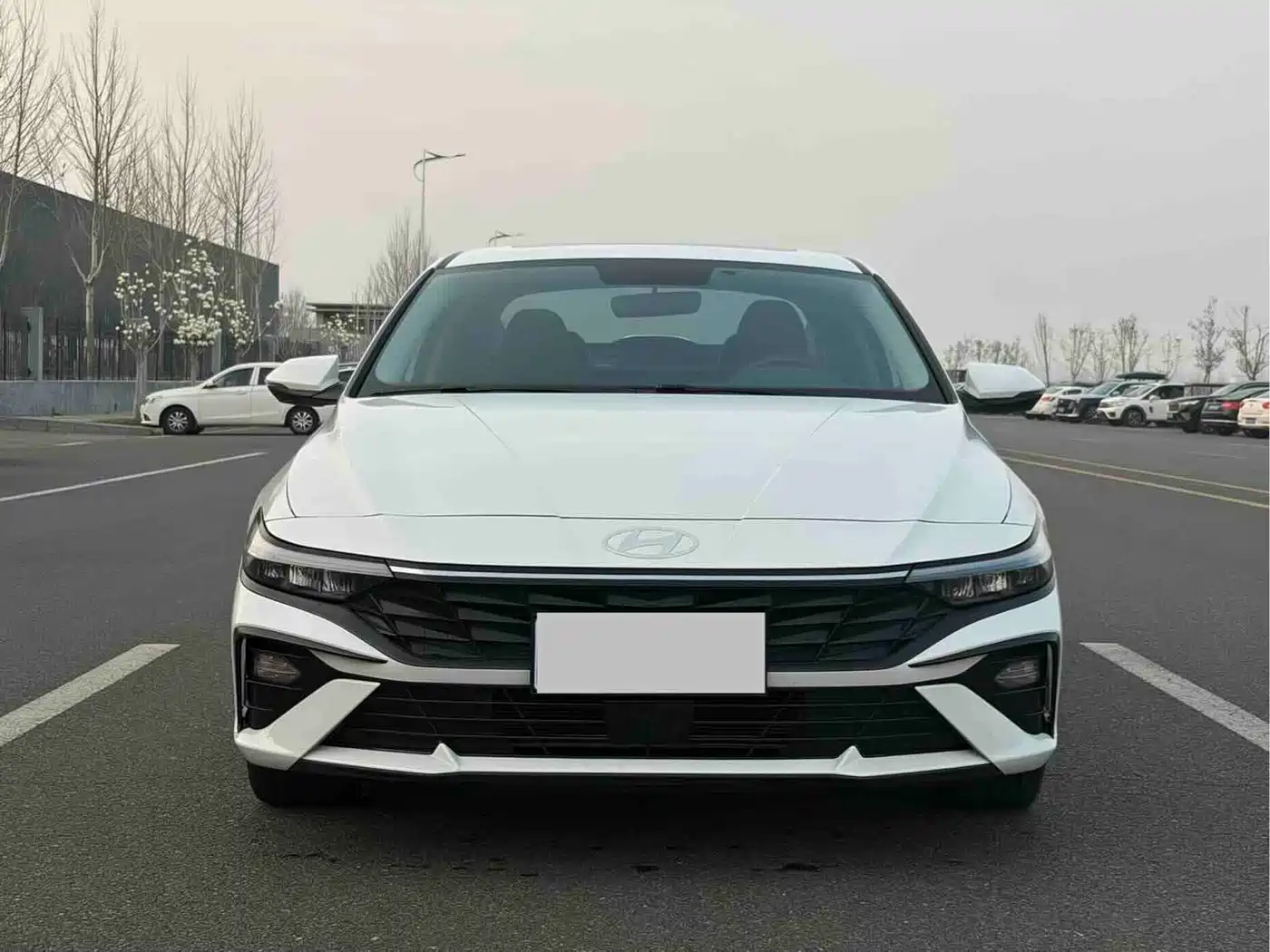Hyundai Elantra 2023 1.5L CVT GLX Elite Edition фото 2