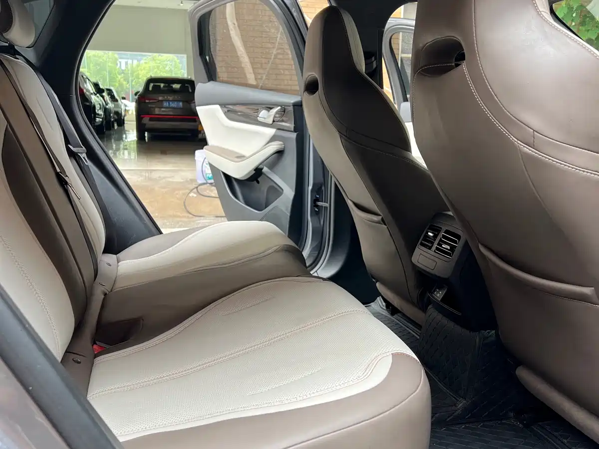 BYD Qin PLUS 2023 Champion Edition DM-i 55KM Leading фото 9