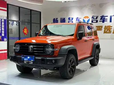 Tank 300