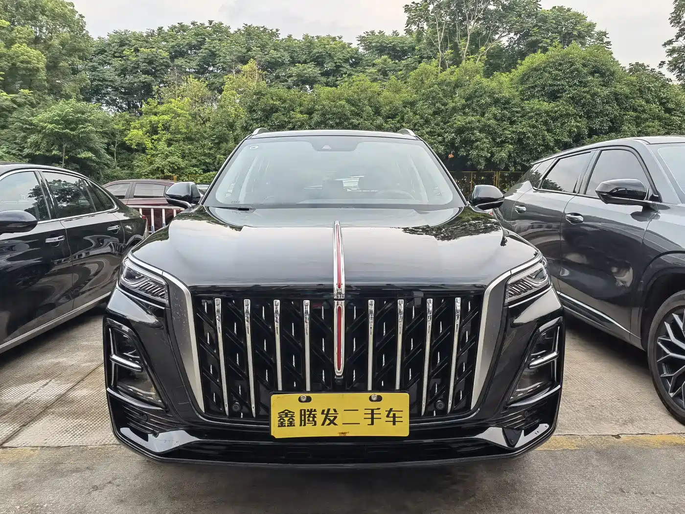 Hongqi HS5 2025 2025 2.0T 2WD Qixiang Pro