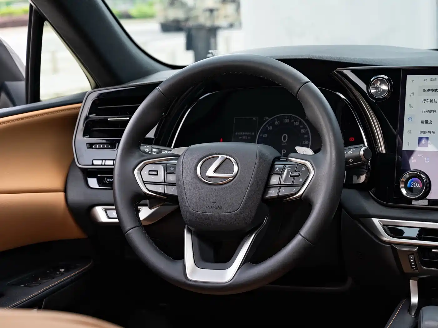 Photo 14 - Lexus RX