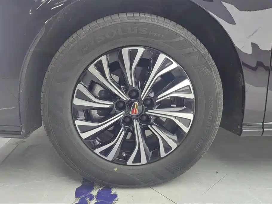 Hongqi HQ9 PHEV 2024 Model 2.0T AWD Business Edition фото 6