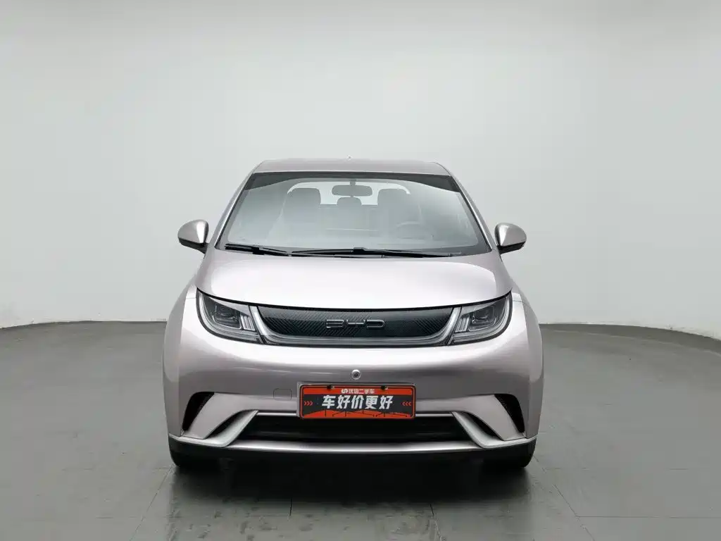 Фото 3 - BYD Dolphin