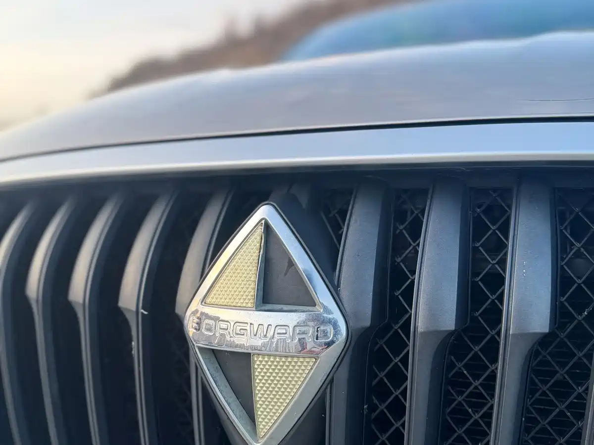 Borgward BX5 2019 2017 Model 20TGDI Automatic 2WD Vanguard Type