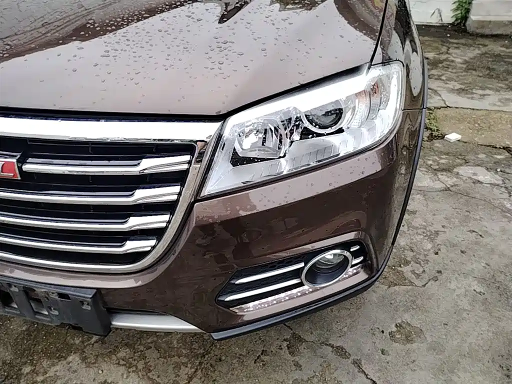 Haval H6 2017 Red Label Sport 1.5T Automatic 2WD Luxury фото 24