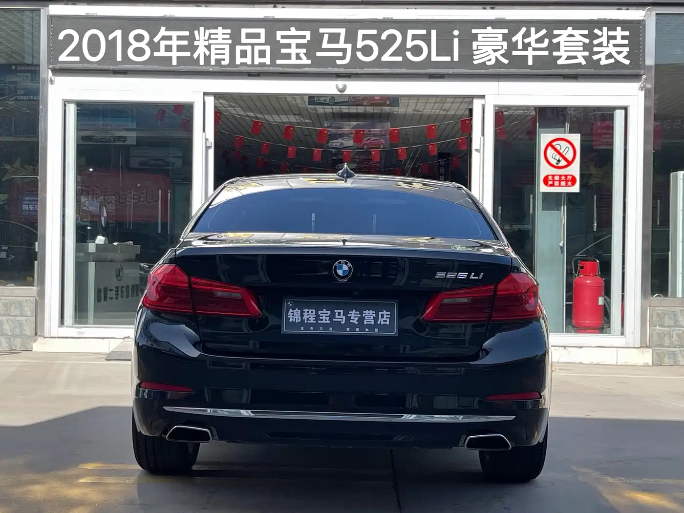 BMW 5 Series 2018 525Li Luxury Package фото 4