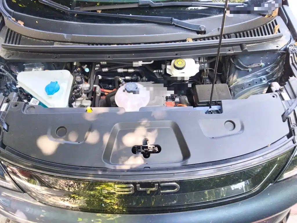 BYD Dolphin 2026 2025 Smart Drive Edition 420km Freedom Version