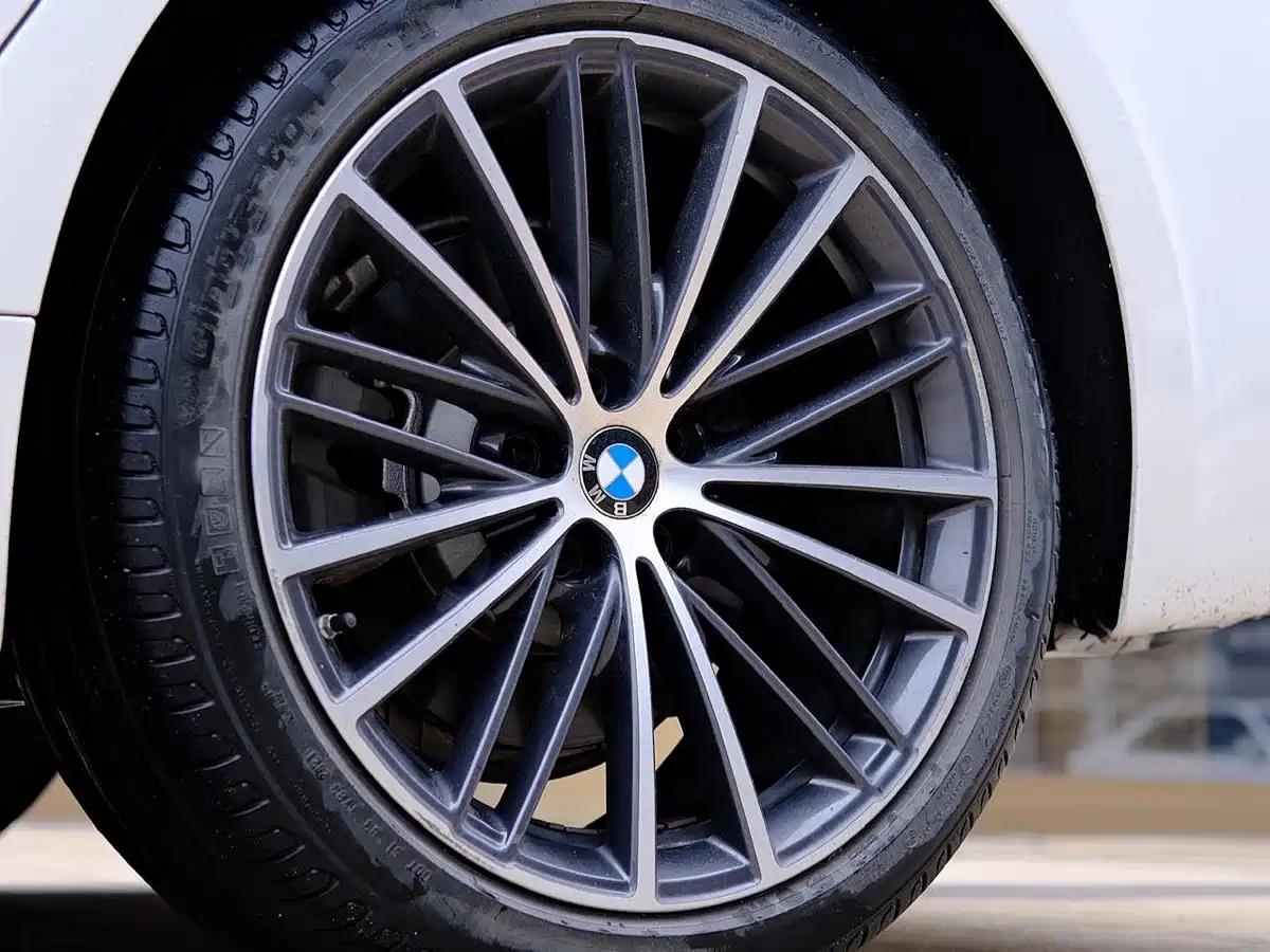 BMW 5 Series 2021 530Li Leading M Sport Package фото 11