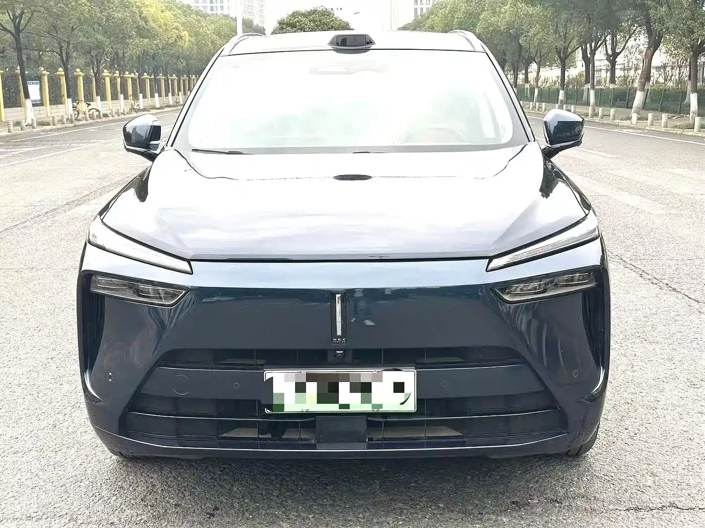 WEI PAI WEI BRAND BLUE MOUNTAIN