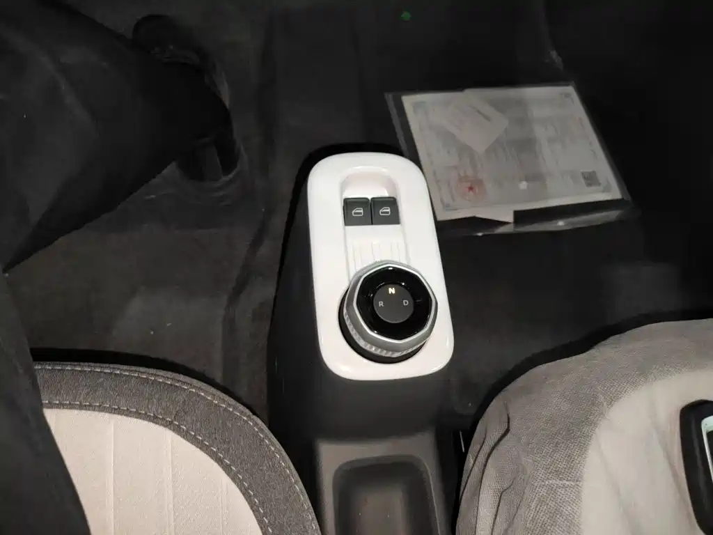 Geely Galaxy Panda 2026 2025 Panda mini 210km Vitality Bear