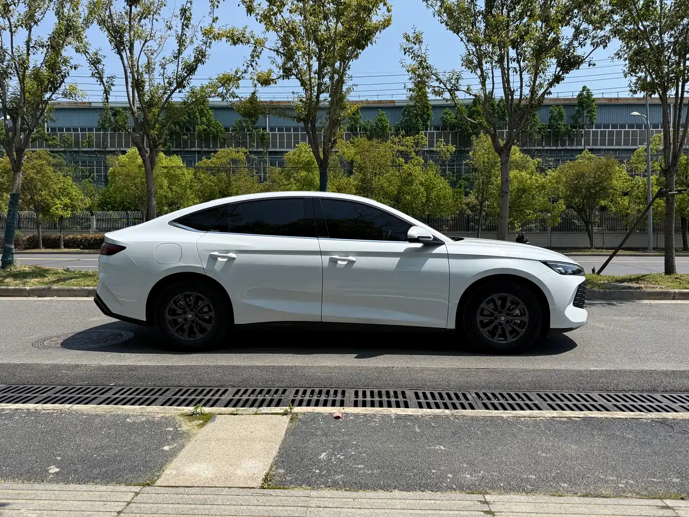 BYD Qin L 2024 DM-i 80KM Leading Edition фото 4