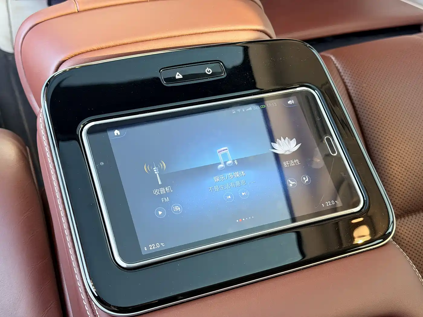 Mercedes-Benz Maybach GLS 2021 GLS 480 4MATIC фото 13