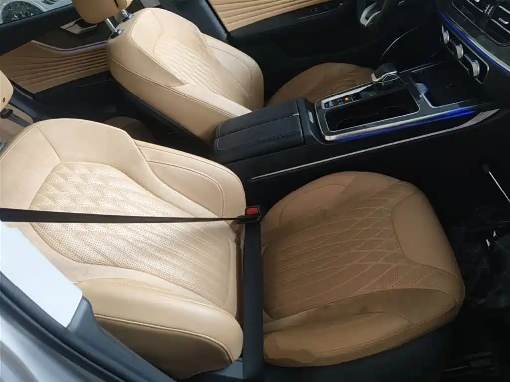 Hongqi HS5 2023 2.0T 4WD Flag Leader Pro фото 25
