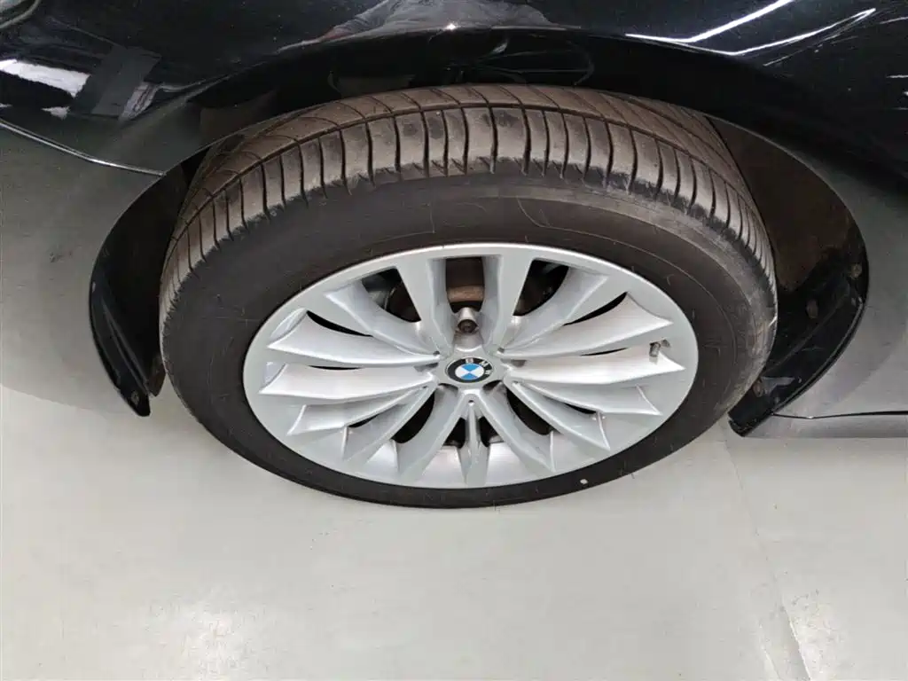 BMW 5 Series 2022 Model Second Facelift 525Li Luxury Package фото 25