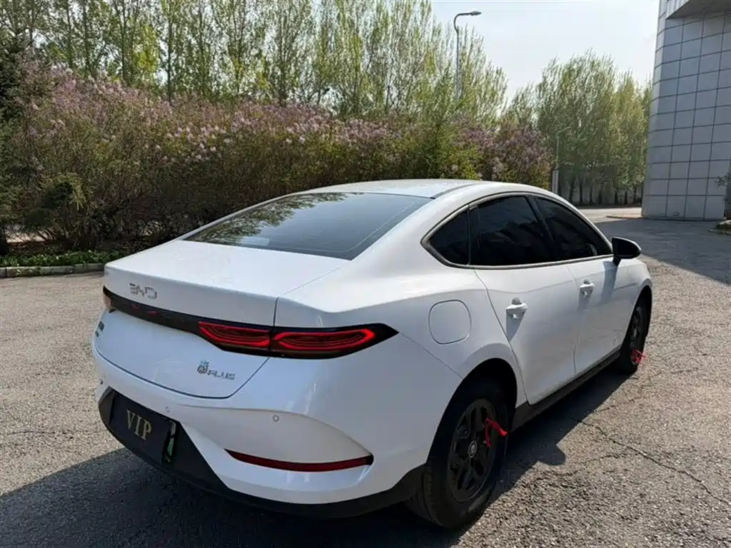 BYD Qin PLUS 2025 DM-i Smart Drive 55KM Leader фото 4