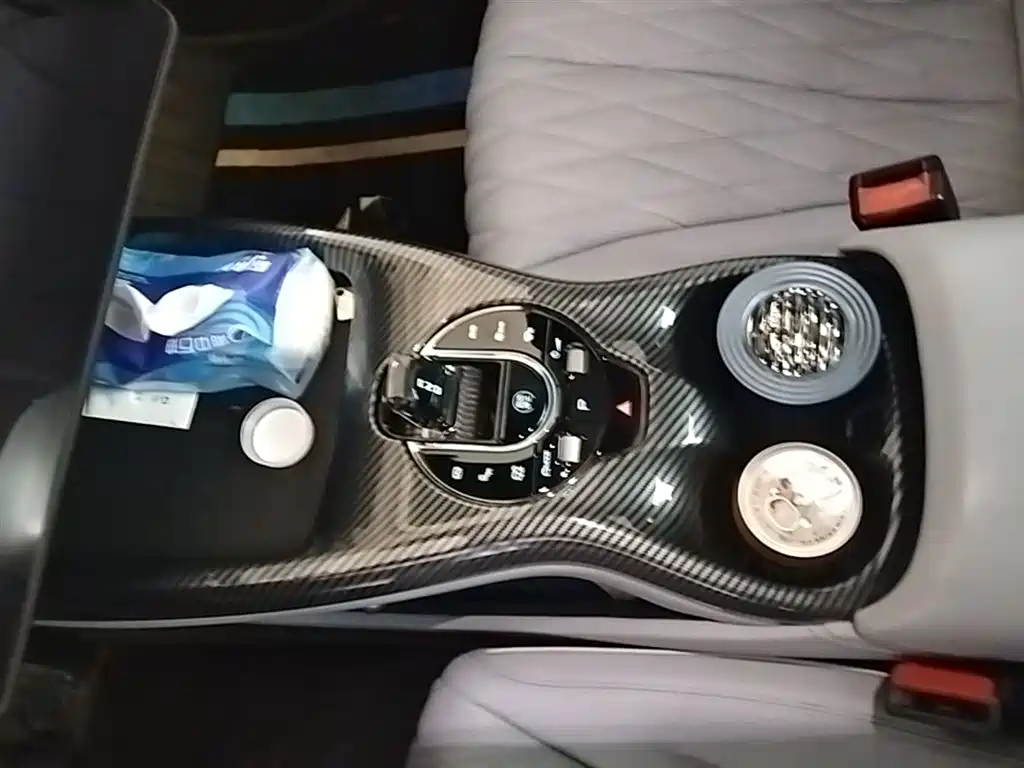 BYD Seal 2022 550km Standard Range RWD Premium фото 14