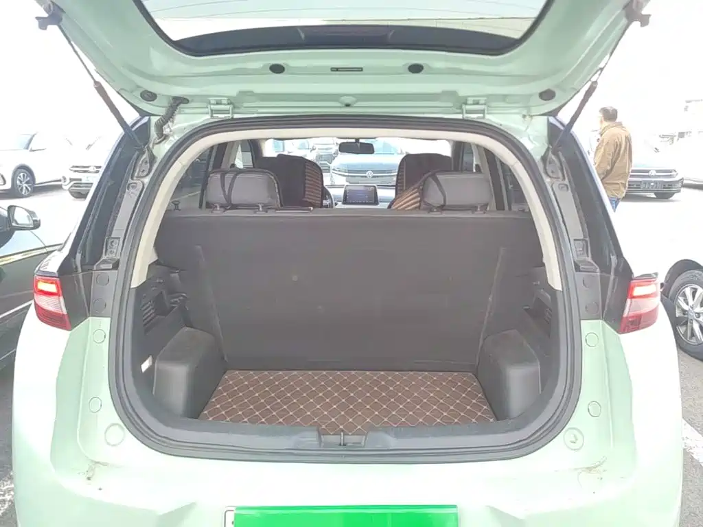 Dayun Yuehu 2022 2022 30.66kWh 2WD VIP Edition