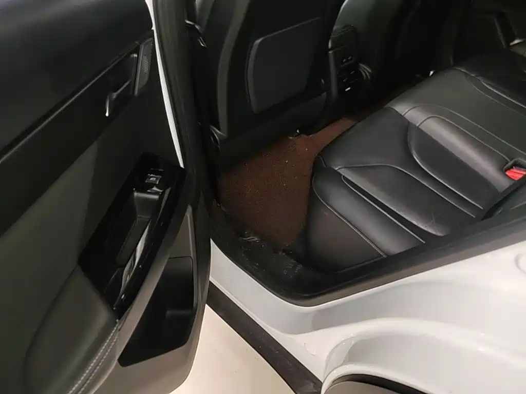 XPeng G3 2020 2019 Premium Edition