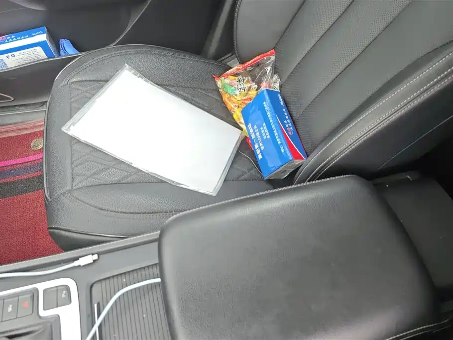 BYD Tang 2019 2.0T Automatic Smart Connect Noble 7-seater China VI фото 8