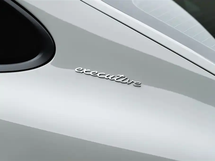 Porsche Panamera 2023 Panamera 4 Executive Long Wheelbase 2.9T фото 7