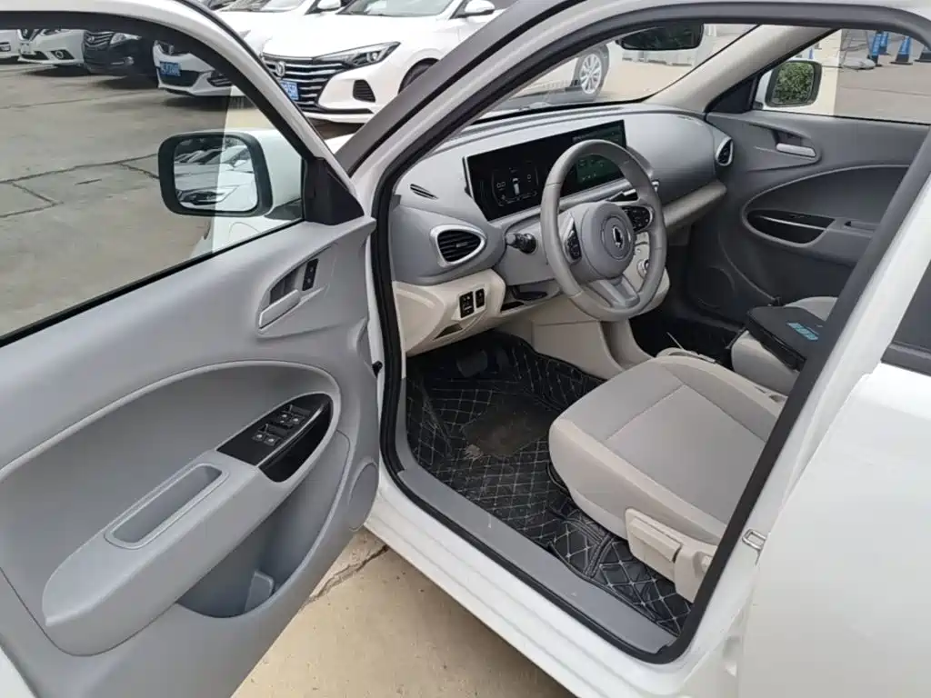 Ora White Cat 2021 2020 305km Luxury