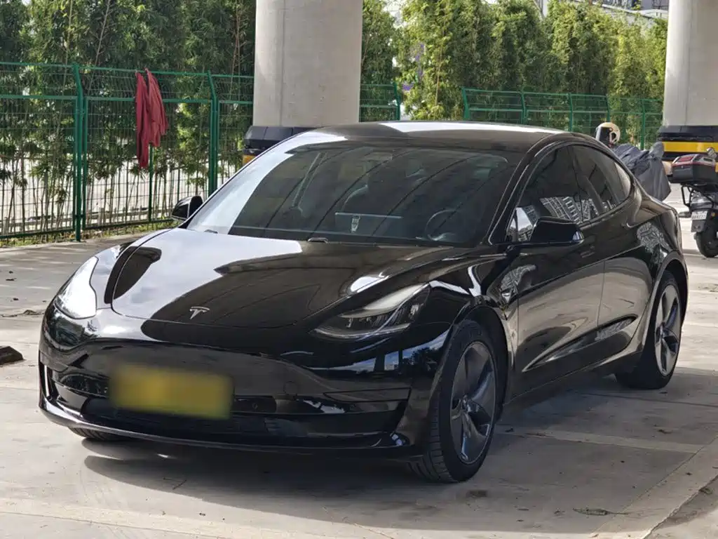 Tesla Model 3 2021