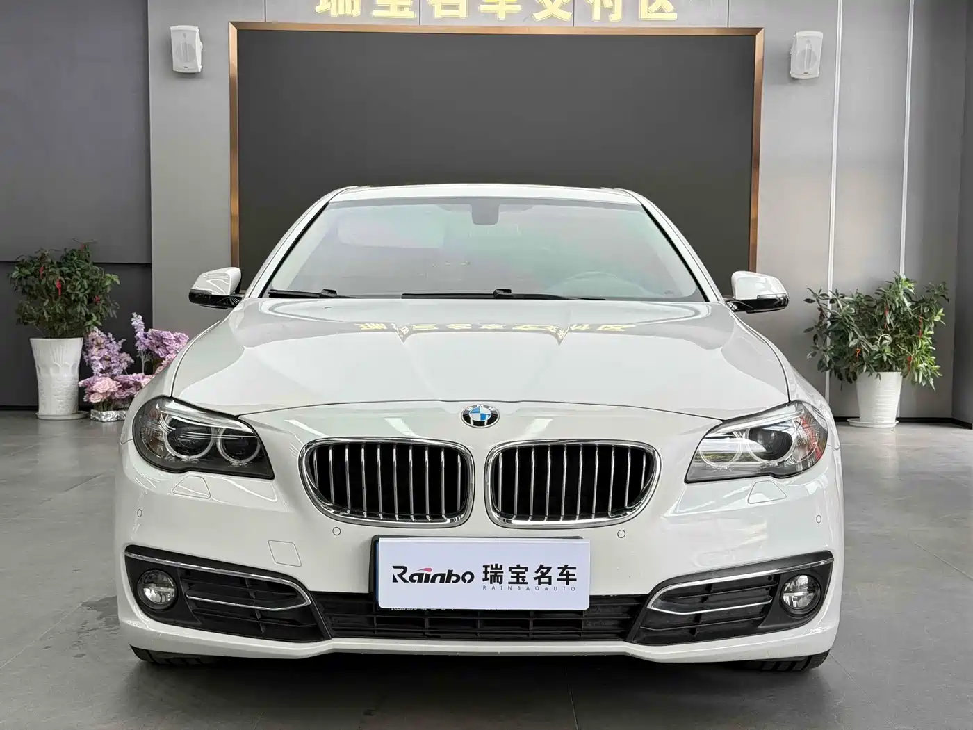 BMW 5 Series 2014 525Li Luxury Design Package фото 2