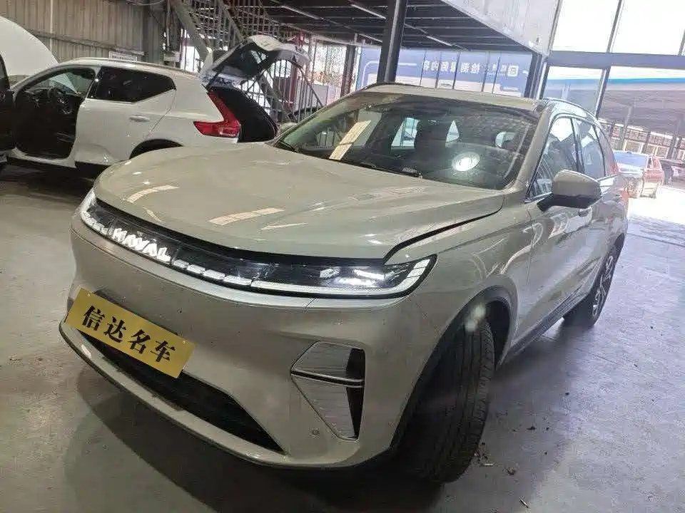 Фото 1 - Haval Xiaolong MAX