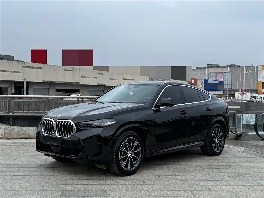 BMW X6 2023 xDrive30i M Sport Package