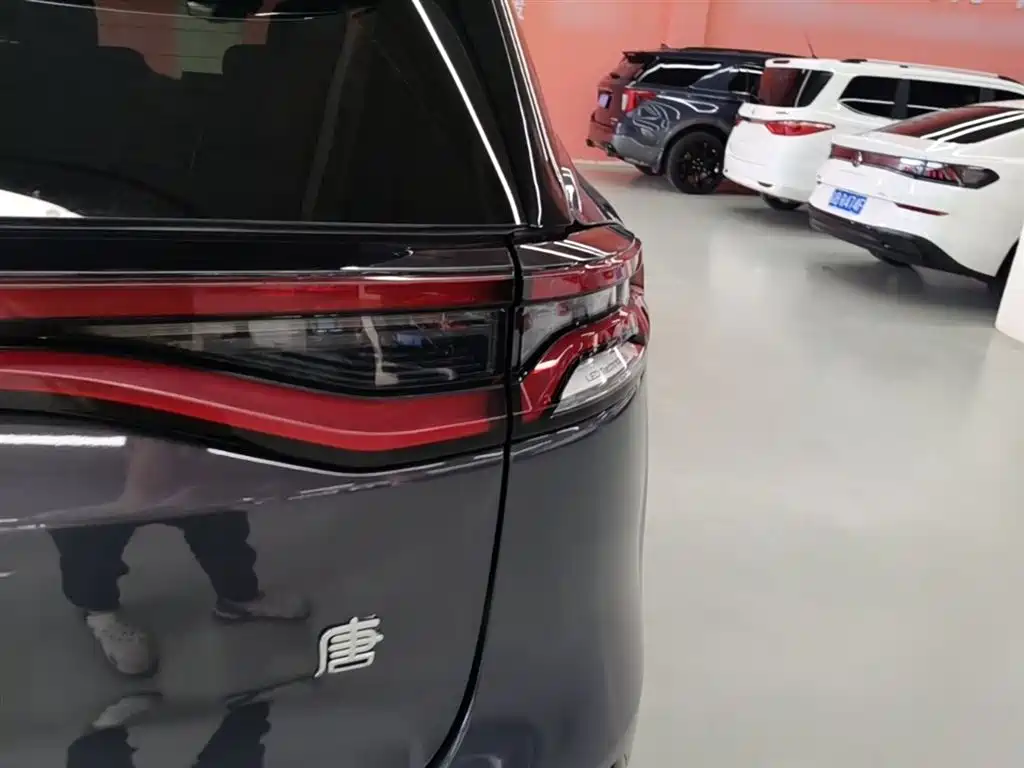BYD Tang New Energy 2021 DM-i 112KM Honor фото 8