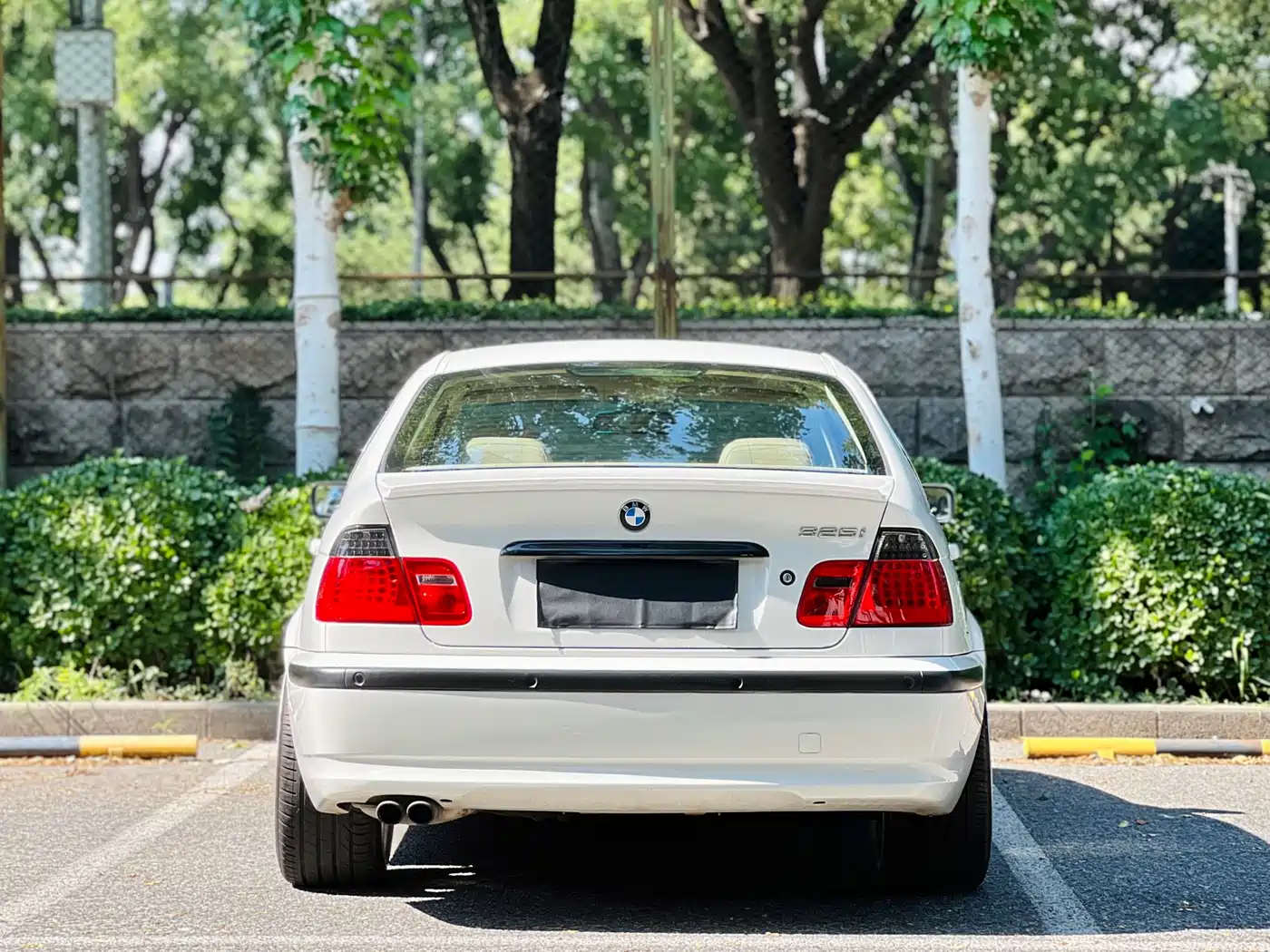 BMW 3 Series 2003 2004 325i