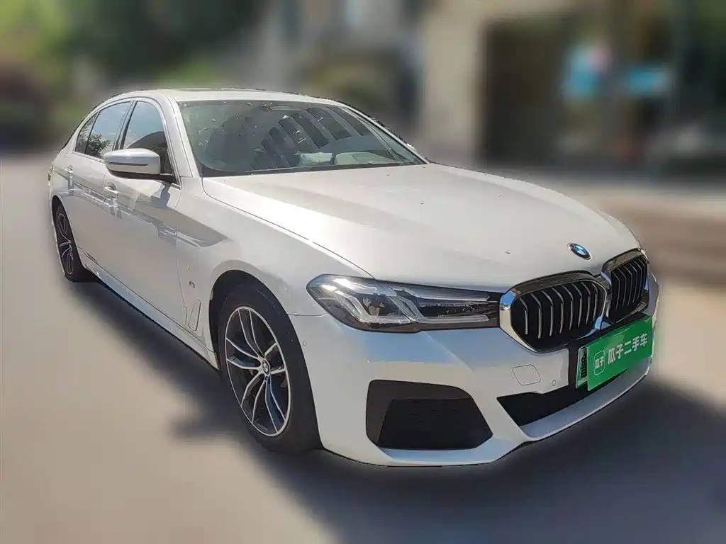 BMW 5 SERIES NEW ENERGY