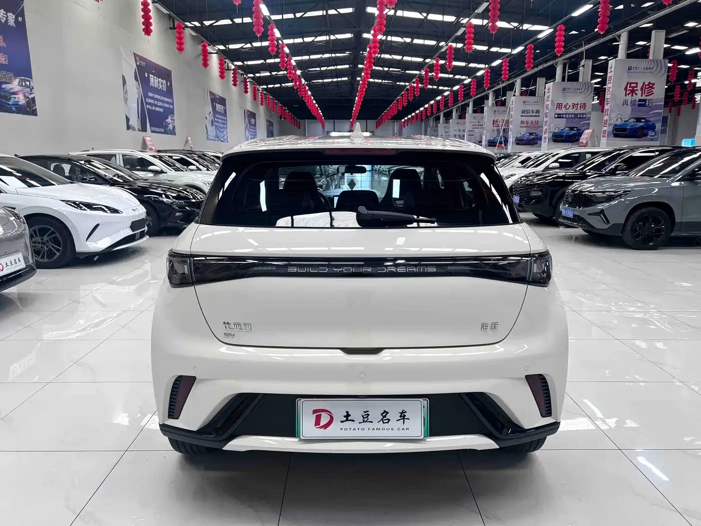 2026 BYD Dolphin