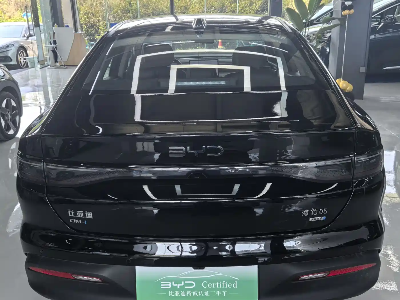 BYD Hai Bao 05 DM-i 2025 DM-i Smart Driving Edition 120KM Flagship фото 15