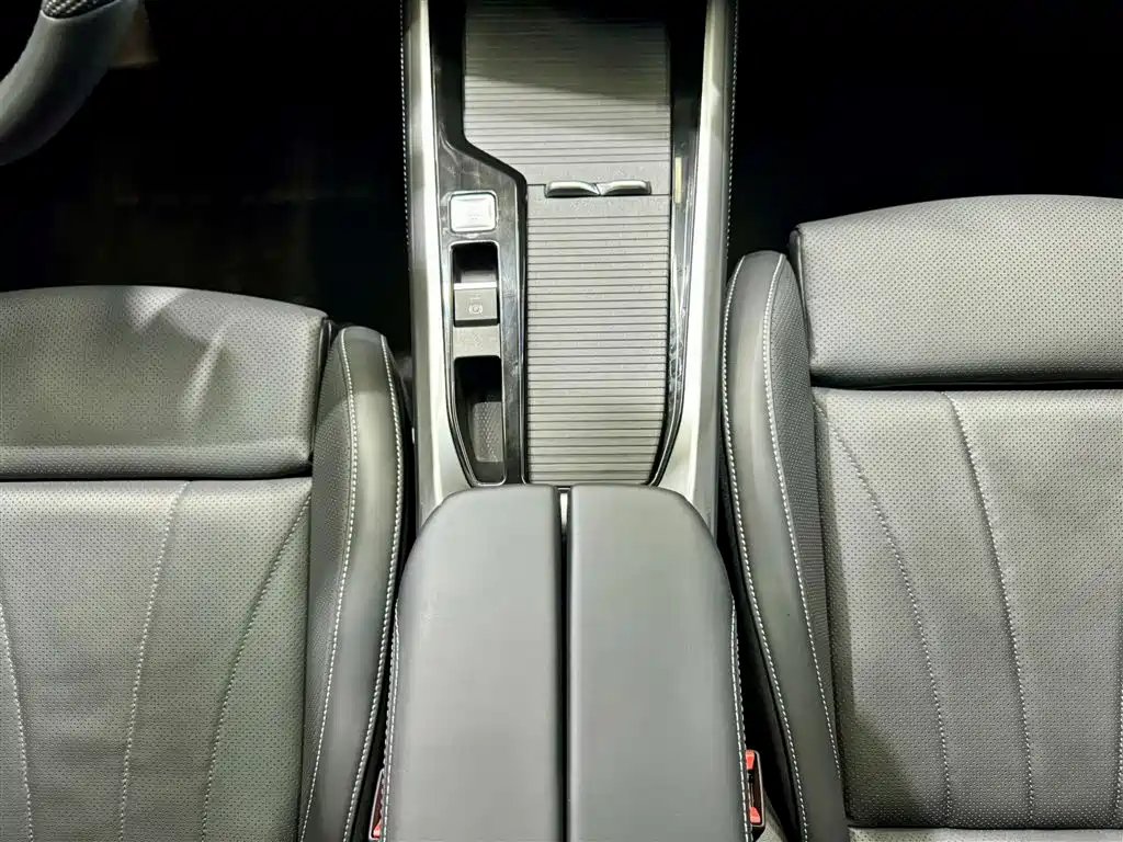 Volkswagen Passat 2025 Pro 380TSI Dragon Glory Edition фото 21