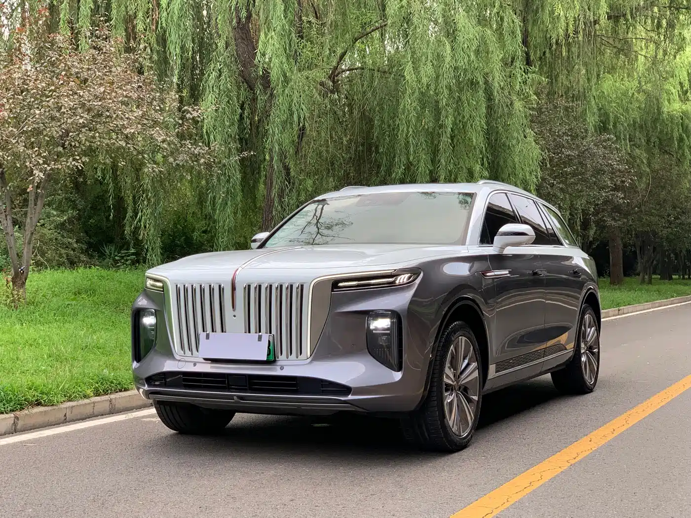 Hongqi E-HS9 2024 2021 460km Flagship Comfort 6-seater