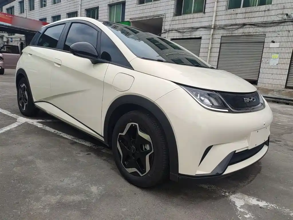 BYD Dolphin 2021 Model 405km Fashion Edition фото 4