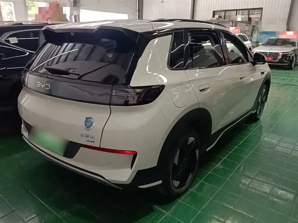 BYD Hai Shi 05 EV 2025 520KM Flagship Smart Navigation Edition фото 7