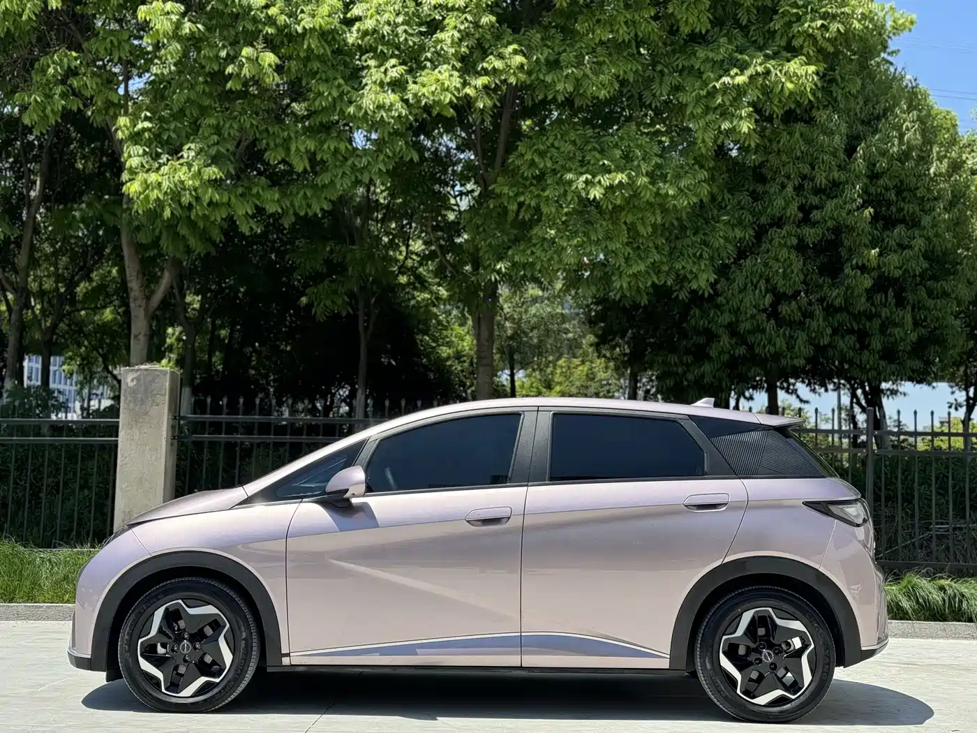 BYD Dolphin 2021 Model 405km Fashion Edition фото 8
