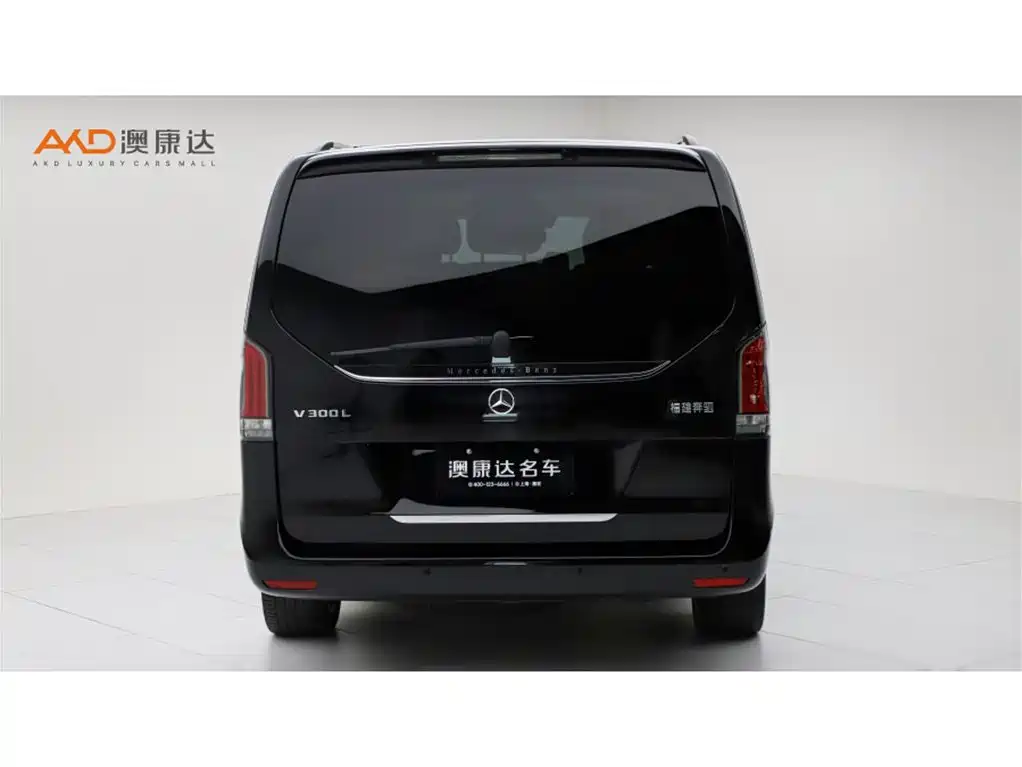 Mercedes-Benz V-Class 2025 2024 V 300 L Long Wheelbase Luxury Edition