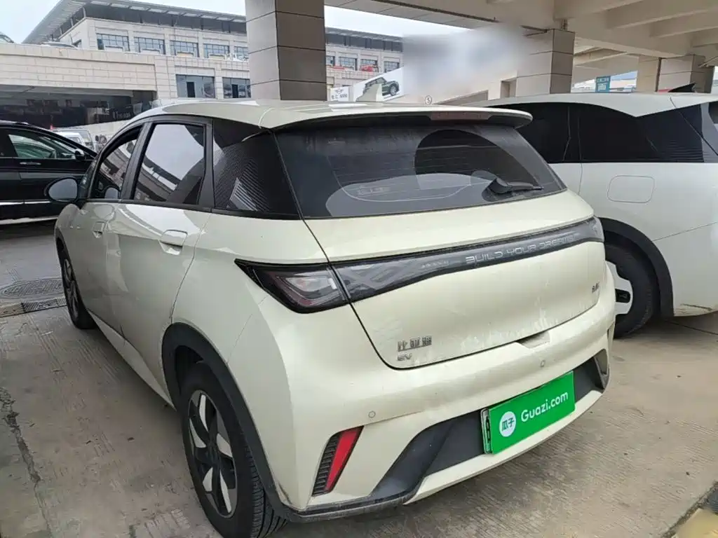 BYD Dolphin 2026 2025 420km Freedom Edition