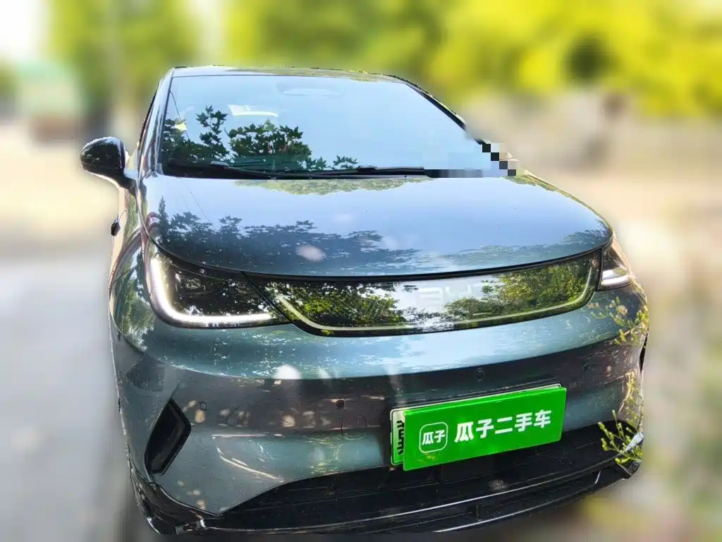 2026 BYD Dolphin