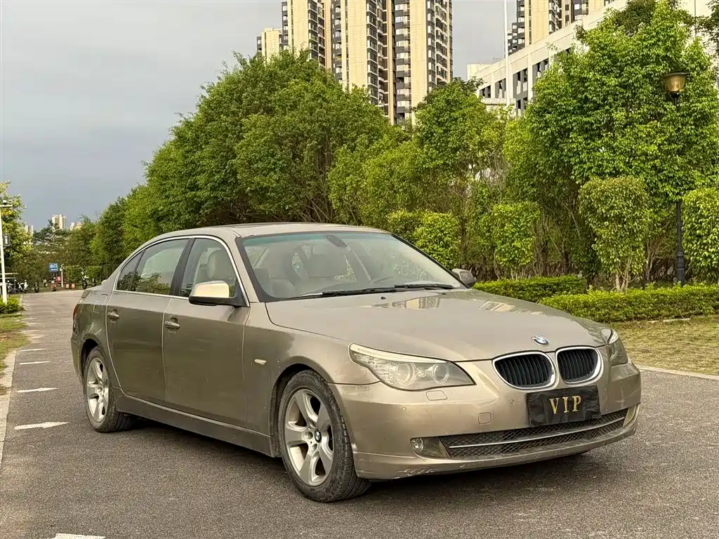 BMW 5 Series 2010 520Li Leading фото 3