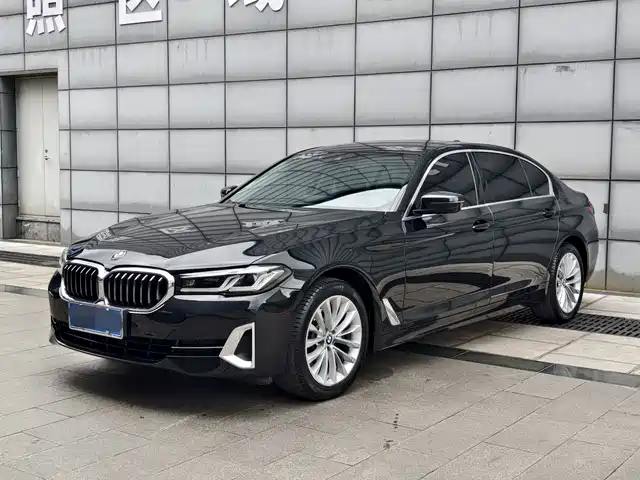 BMW 5 Рестайлинг, 525Li, Люкс-пакет