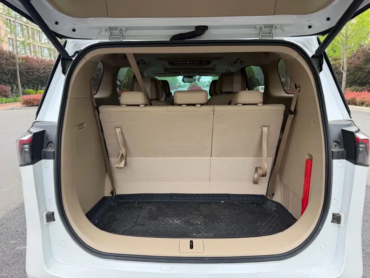 Buick GL8 New Energy 2025 Land Honor Premium Edition 7-Seater фото 6