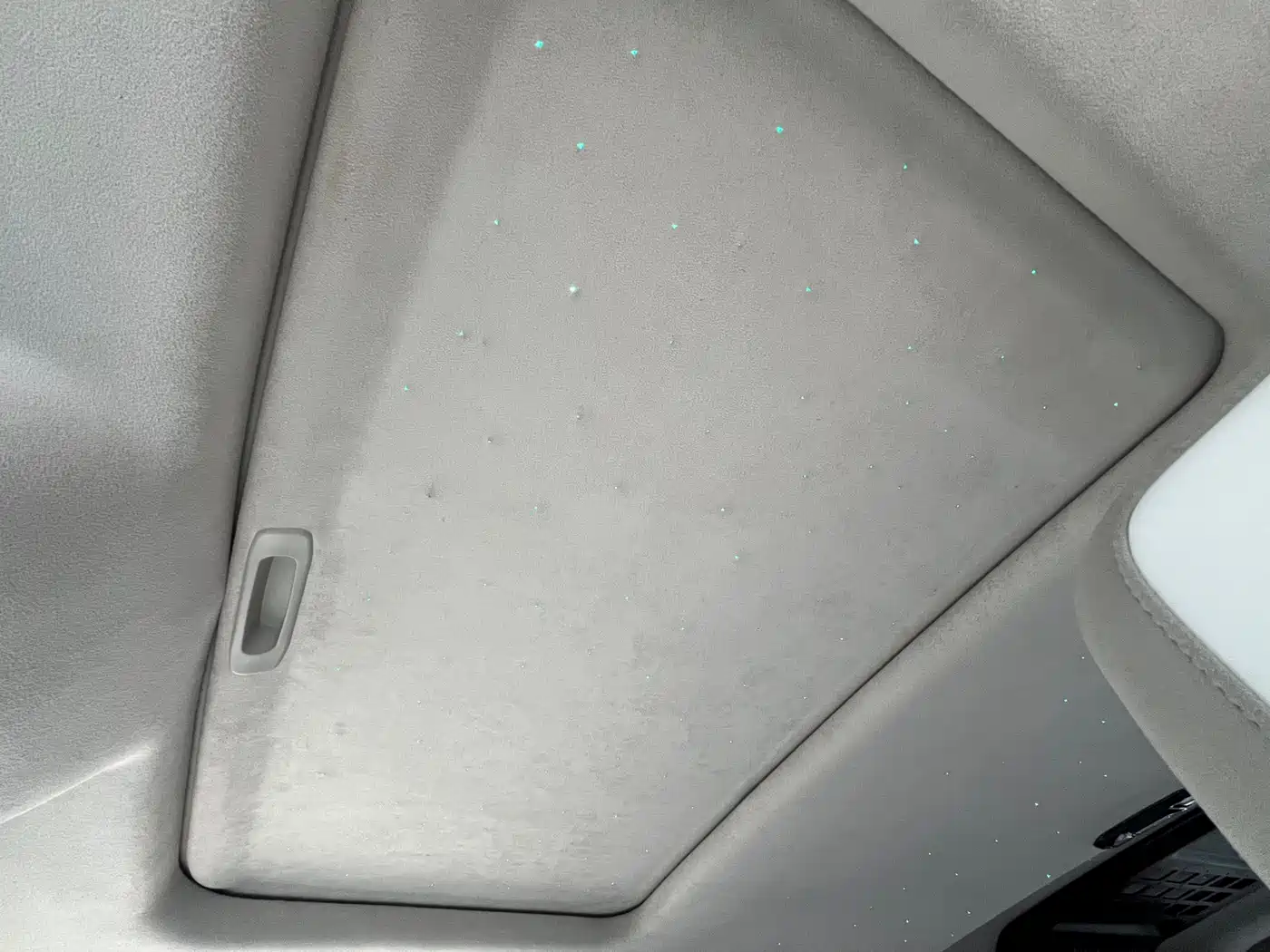 TANK CO CREATION TANK 300