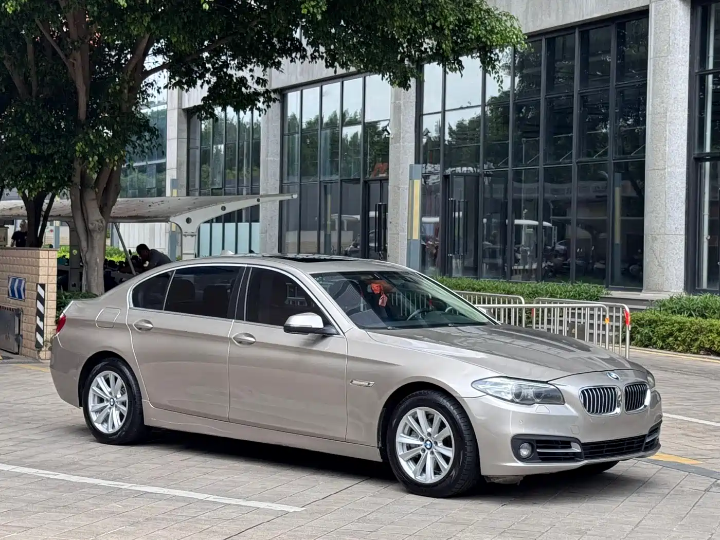 BMW 5 Series 2014 520Li Elegance фото 3