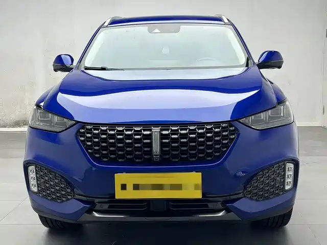 Фото 2 - WEY VV6
