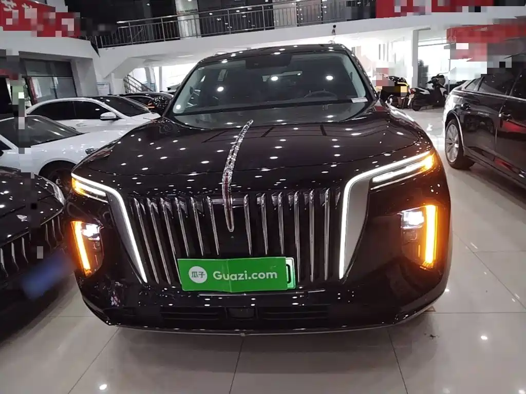 Hongqi E-HS9 2023 2021 460km Flagship Comfort 6-seater