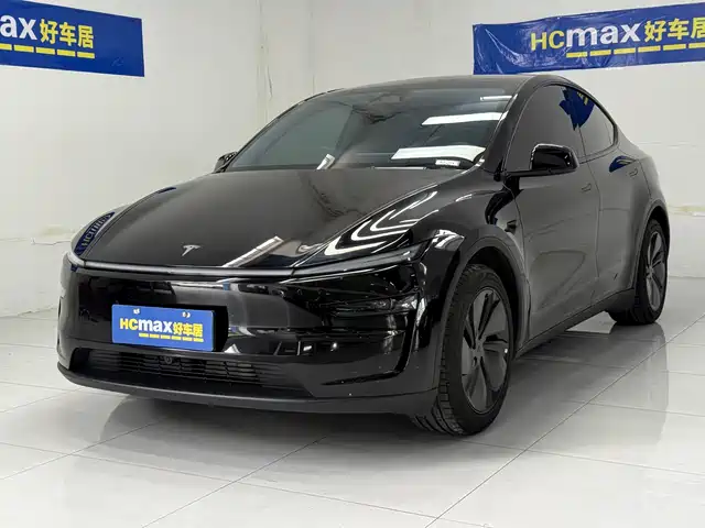 Tesla Model Y Увеличенный запас хода, задний привод
